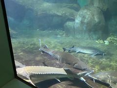 -福州罗源湾海洋世界旅游区