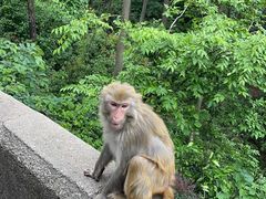 -黔灵山公园