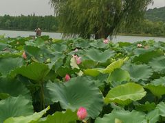 -石湖景区