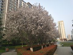 -木塔寺遗址生态公园