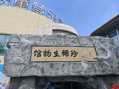 -芜湖新华联大白鲸海洋公园