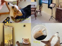 -瘾咖啡(江北21号住宅小区店)