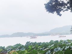 -湖畔居茶楼(湖滨店)