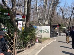 -灵谷景区