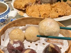 -金燕岛潮州酒楼