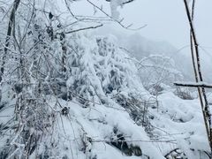 -九峰山