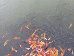 -泉城欧乐堡梦幻世界