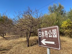 -白水寺森林公园