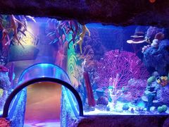 -沈阳海洋探索中心