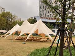 -和平公园