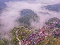 景点-四明山国家森林公园