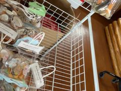 -蓝湾碧波·老字号·疍家非遗海上餐厅
