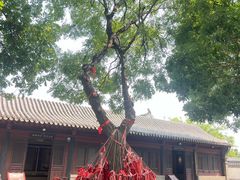-河间府署