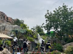 -上海海昌海洋公园