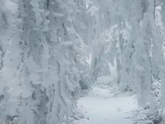 -太阳湾风景区