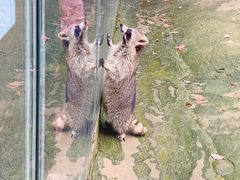 -杭州野生动物世界