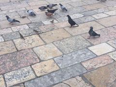 -耶路撒冷古城