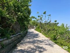 -紫金山山顶公园