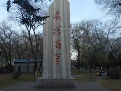 -黑龙江中医药大学