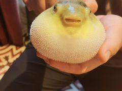 -永安鱼庄·镇江菜(丁卯店)