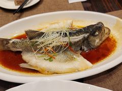 -聚春园自助餐厅(东街口店)