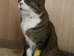 -谐和贝康宠物医院24小时·宠保定点(急重症转诊中心)