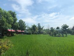 -洪湖家庭农场·团建·露营·会议