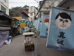 -猫咪博物馆(顶澳仔猫街店)