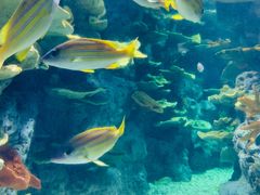 -福州罗源湾海洋世界旅游区