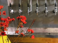 -HUBBA祜精酿(五羊邨店)
