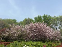 -洛阳市隋唐城遗址植物园