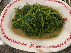 -中国城银都鱼翅酒楼