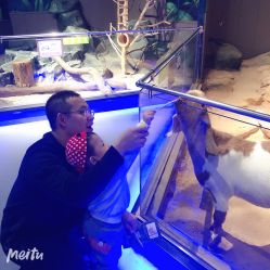 -未来动物城动物主题公园(大悦城店)