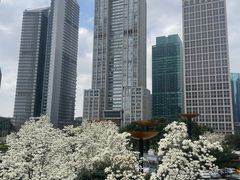 -陆家嘴中心绿地