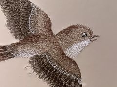 -百富源·海鲜辽菜(和平北大街店)