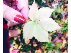 -沈阳药科大学