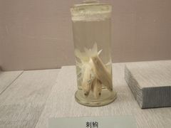 -青藏高原自然博物馆