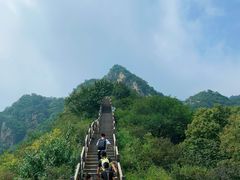 -大岭沟猕猴桃谷风景区