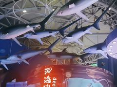 -烟台海昌鲸鲨海洋公园