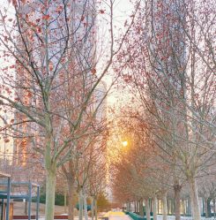 -大望京儿童游乐场