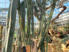 -北京植物园-展览温室