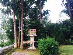 -黄色小屋