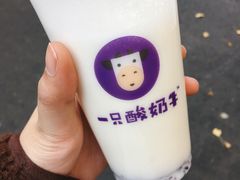 -一只酸奶牛(奎星楼店)