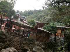 -天门沟九州驿站树上汤泉