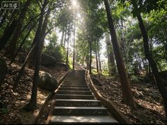-龙头山森林公园·停车场