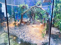 -上海大自然野生昆虫馆