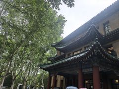 -灵谷景区