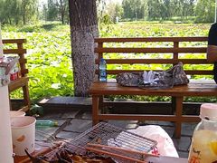 -白渔泡湿地公园