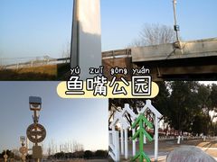 -鱼嘴湿地公园