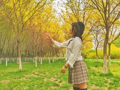 -天津武清北运河郊野公园房车露营地